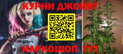 СК Краснодар