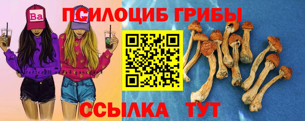 Псилоцибиновые грибы Magic Shrooms Кемерово