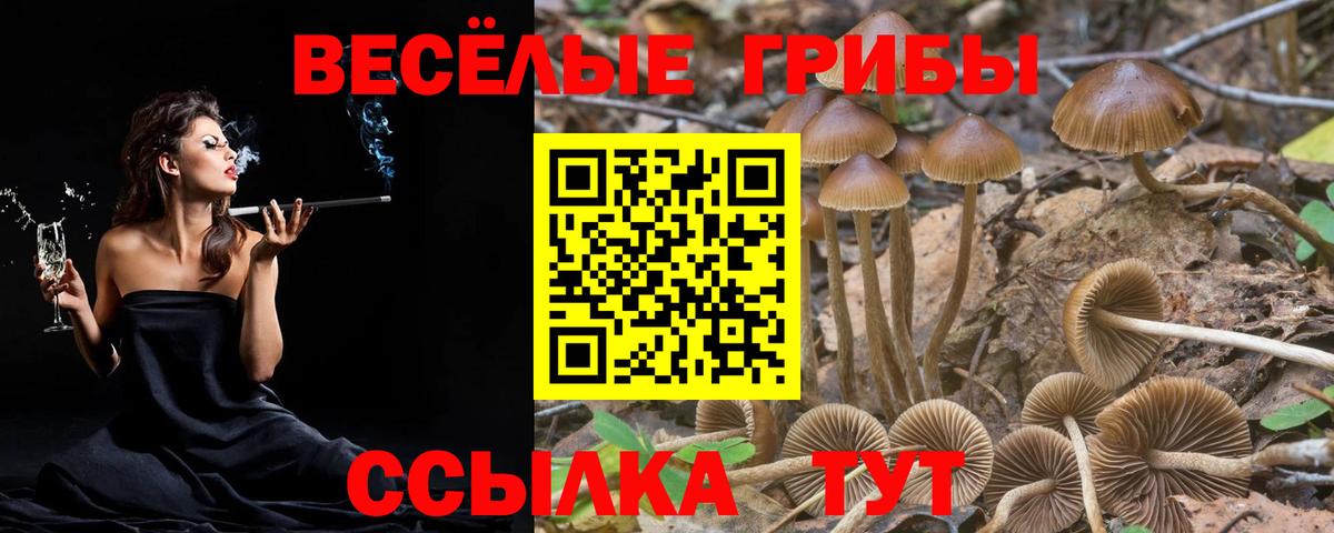 Галлюциногенные грибы Cubensis  Вход с VPN  Кемерово 